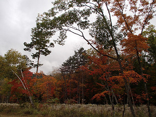 f0065341_1383860.jpg