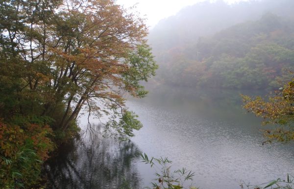 e0086244_11303036.jpg