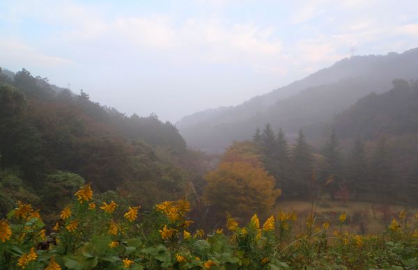 e0086244_11304576.jpg