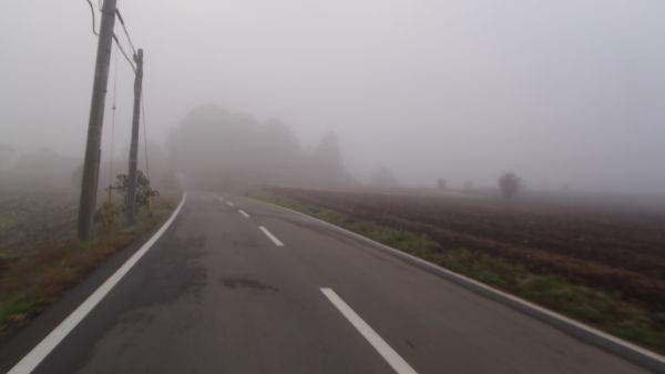 e0086244_11311167.jpg