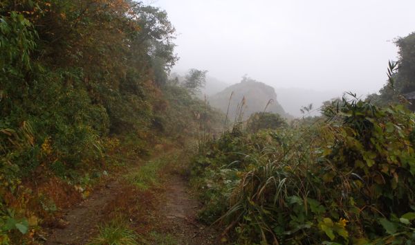 e0086244_11314717.jpg