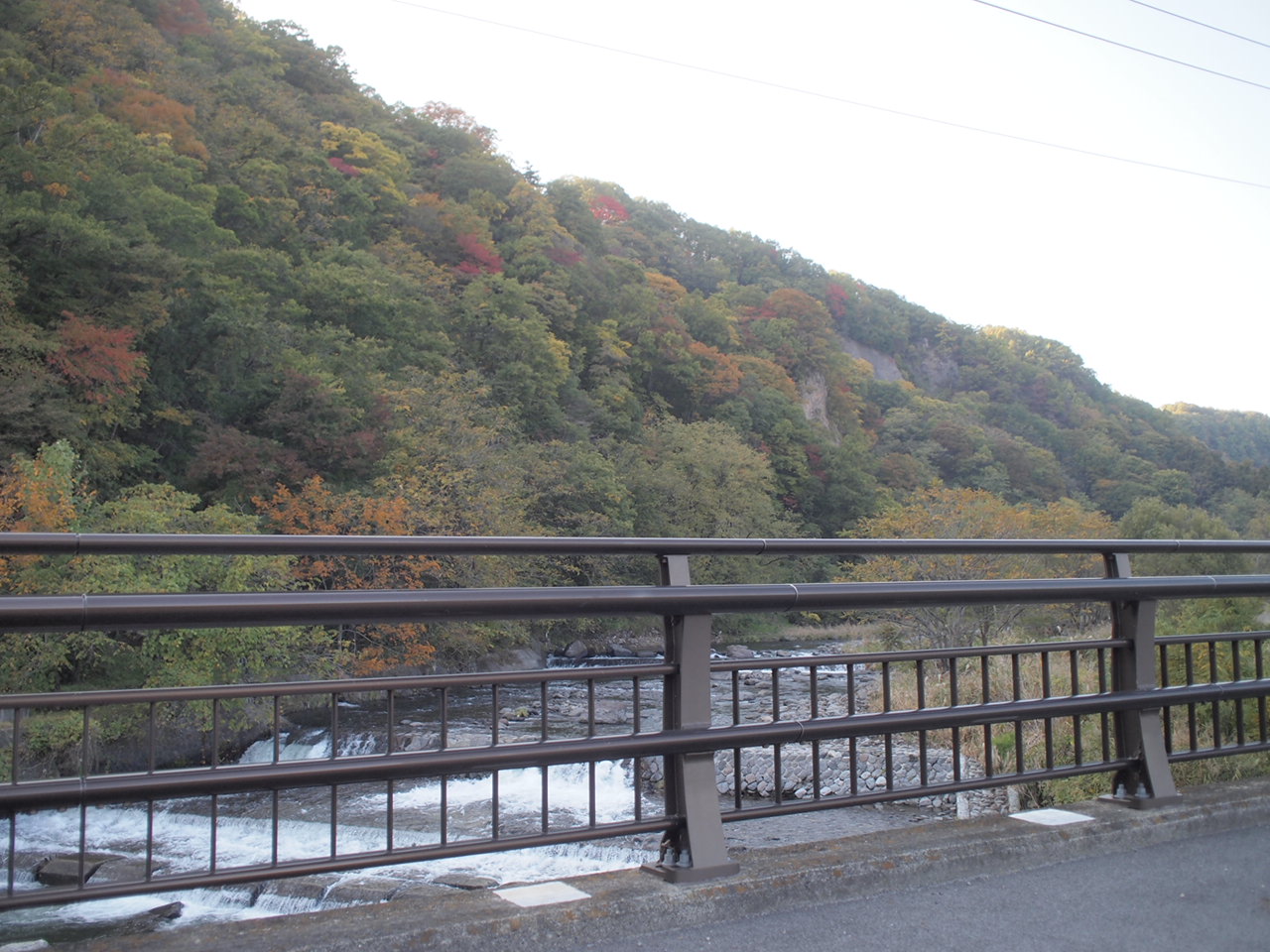 a0299945_21404957.jpg