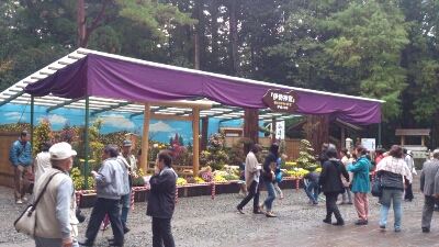 f0282245_21161889.jpg