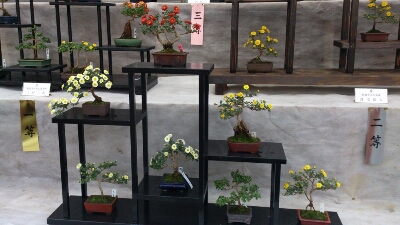 f0282245_2125828.jpg