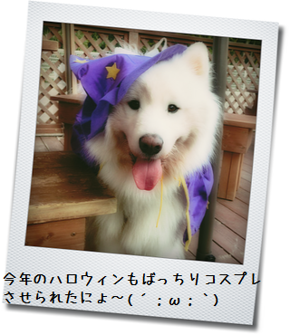 a0166954_16104312.png