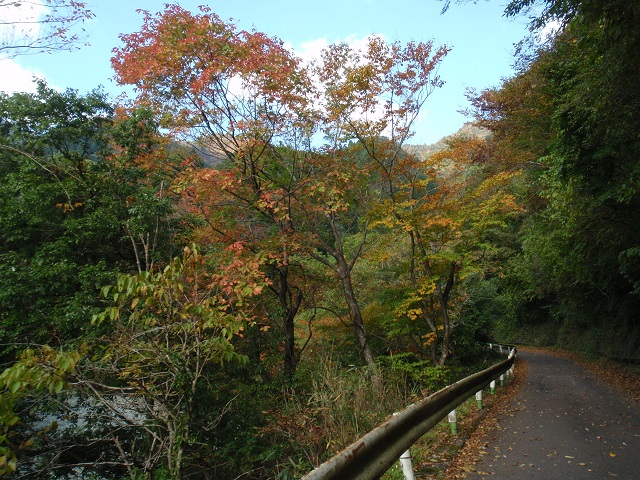 a0242657_19594347.jpg