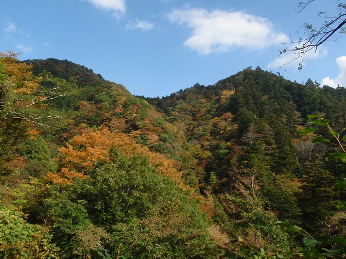 a0242657_2033315.jpg