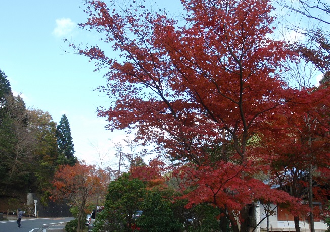 a0242657_2041786.jpg