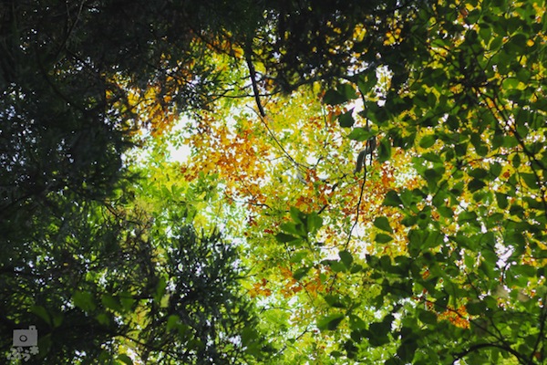 f0302857_0221525.jpg