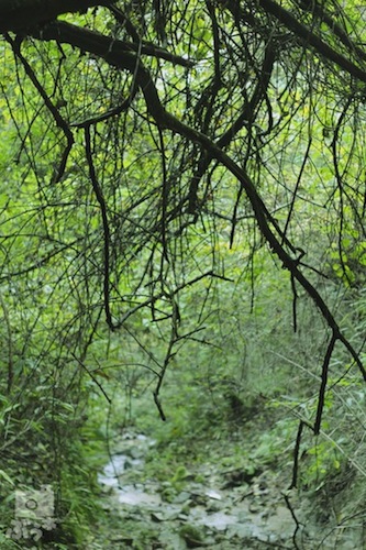 f0302857_0291489.jpg