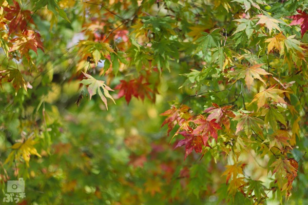 f0302857_09119.jpg