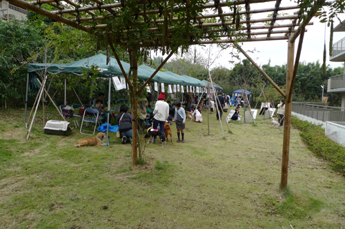 d0038458_10565128.jpg