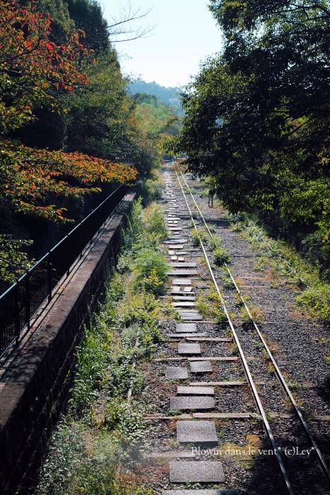 f0251765_1634244.jpg