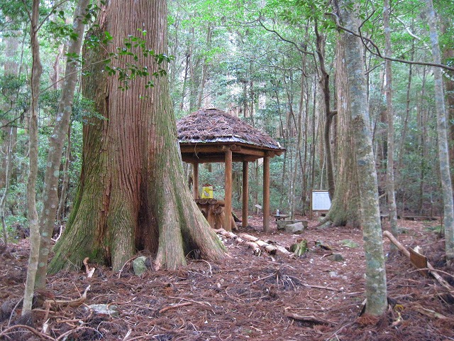c0219866_838496.jpg