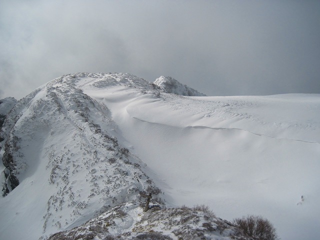 c0219866_839193.jpg
