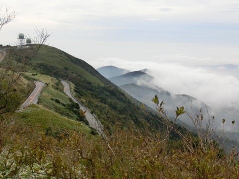 e0045768_22152250.jpg