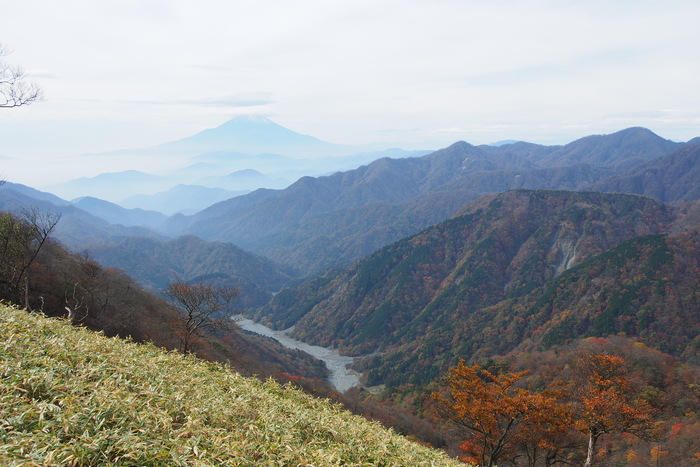 e0307372_1913019.jpg