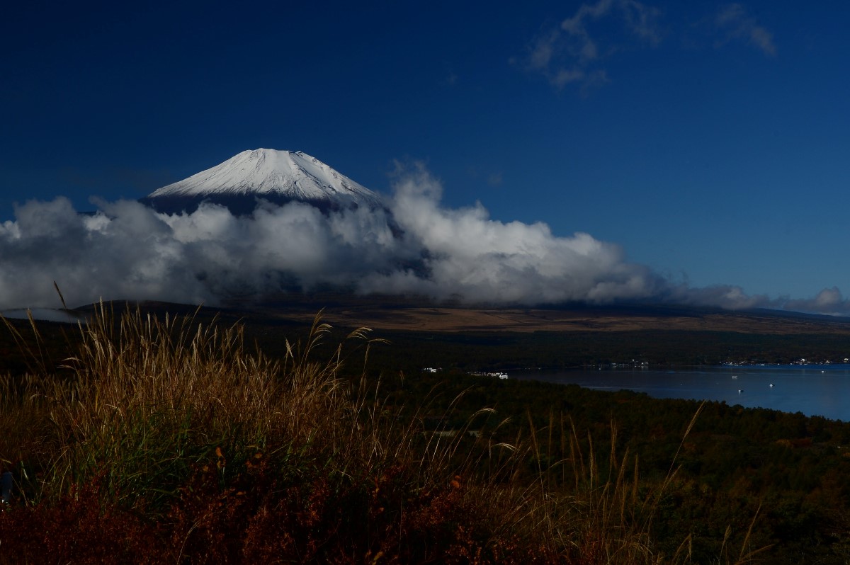 d0157380_20403439.jpg