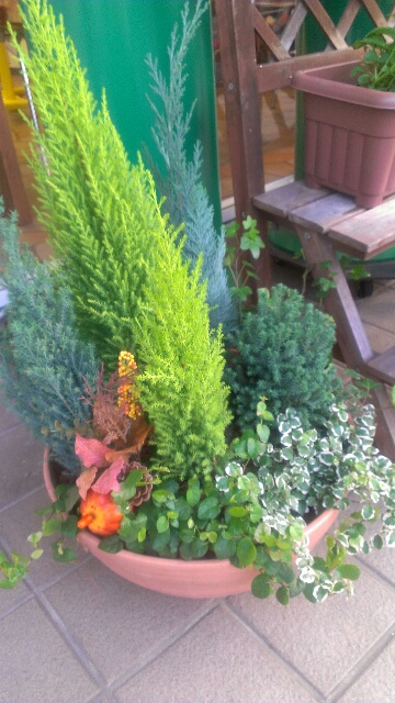 c0096582_16362179.jpg