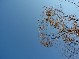 e0155085_19285415.jpg
