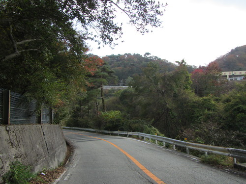 a0251786_20345231.jpg