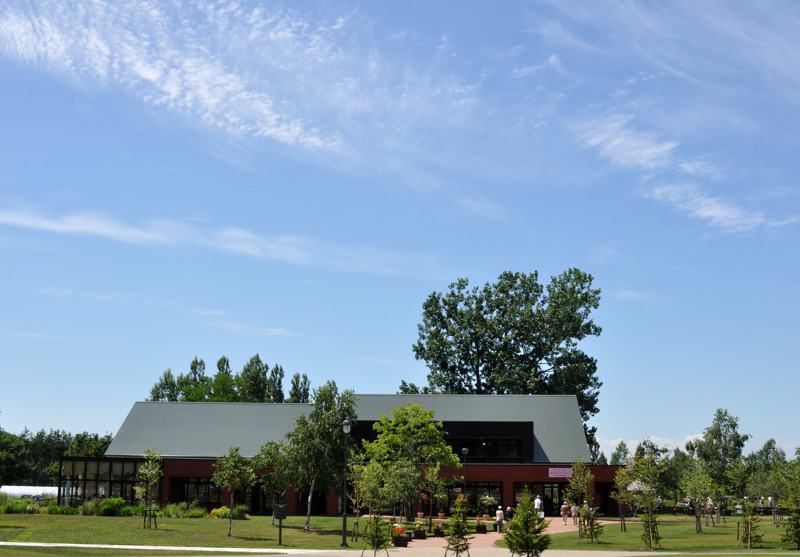 b0169987_14222647.jpg