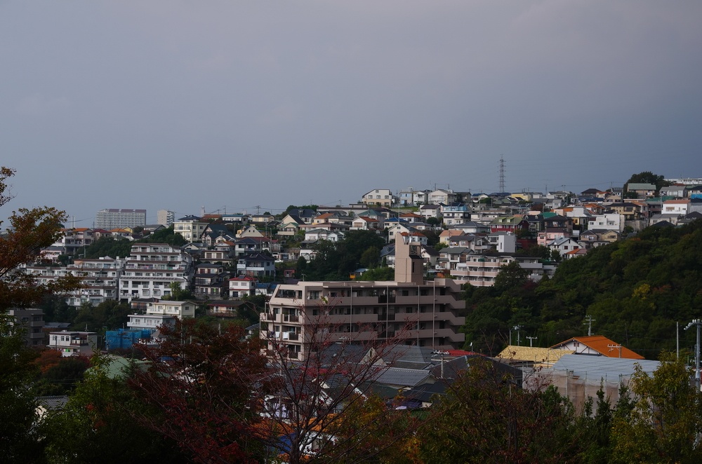 d0176289_22573194.jpg