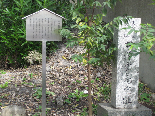 f0010195_01866.jpg