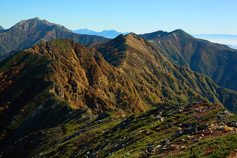 a0148606_1312580.jpg