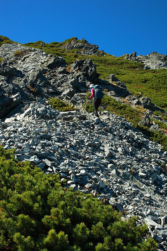 a0148606_13205989.jpg