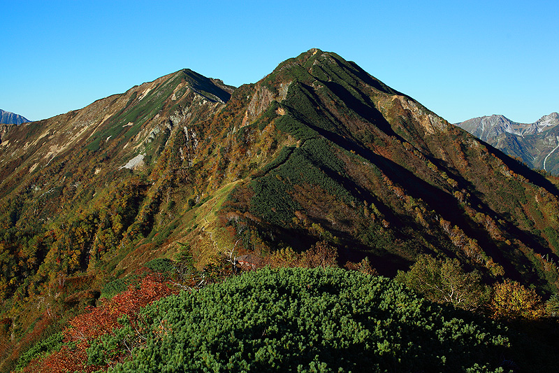 a0148606_1331579.jpg