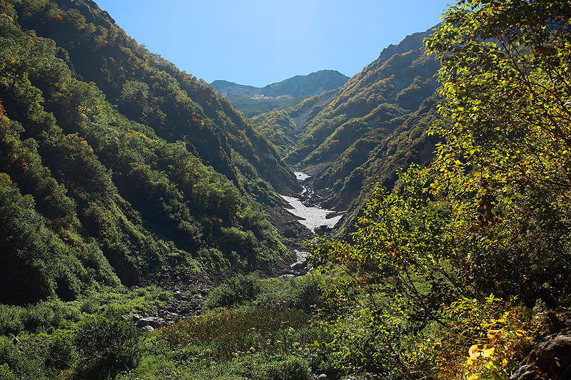 a0148606_13381487.jpg