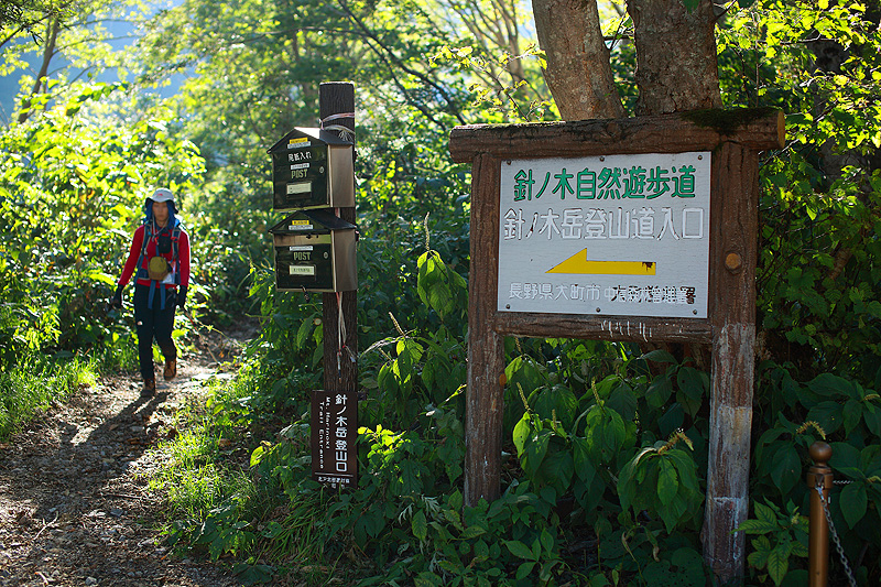a0148606_13385645.jpg