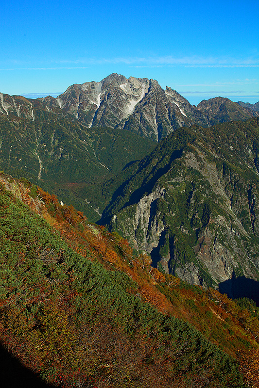 a0148606_1342360.jpg