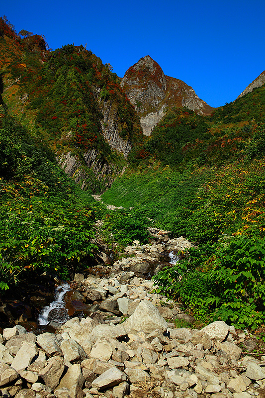 a0148606_17524532.jpg