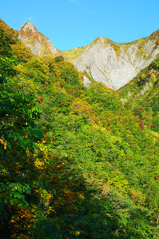 a0148606_1752726.jpg