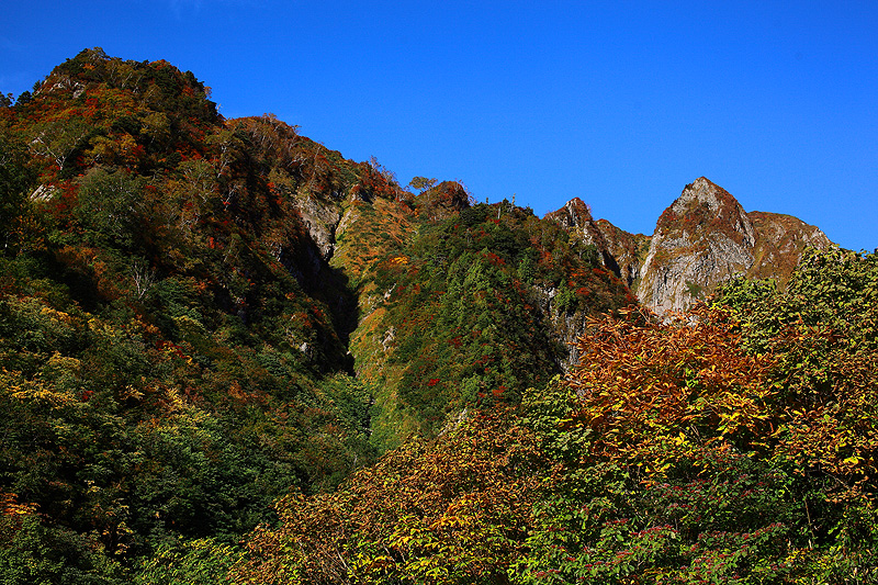 a0148606_17531531.jpg