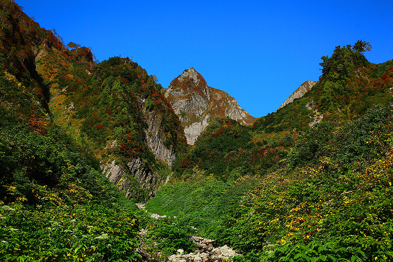 a0148606_175416.jpg