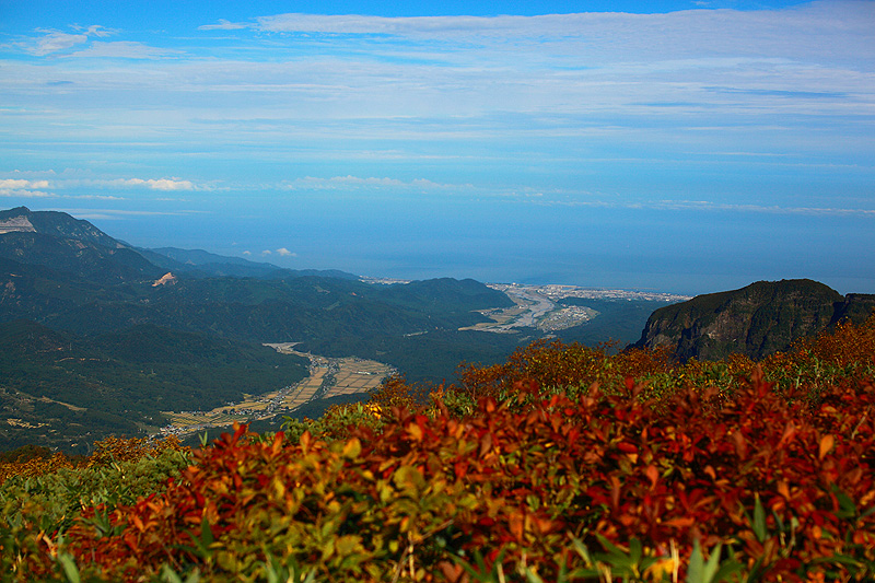 a0148606_17571262.jpg