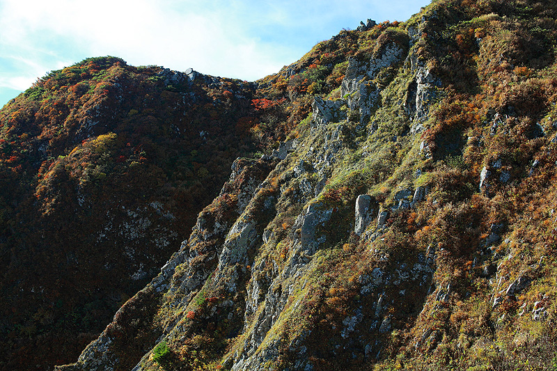 a0148606_17574724.jpg