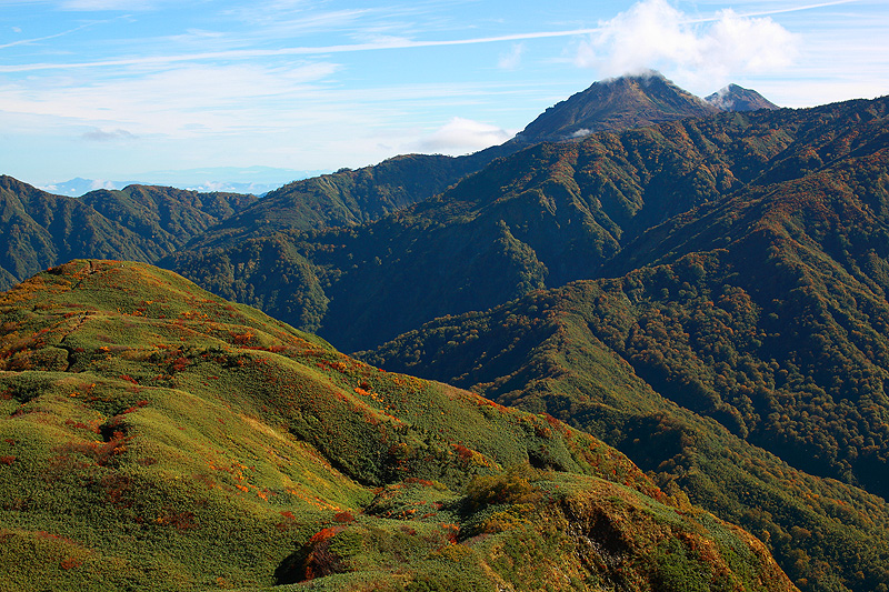 a0148606_1758791.jpg