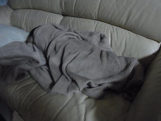 c0205806_545347.jpg