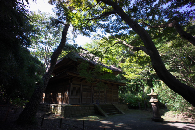 d0143011_2052207.jpg