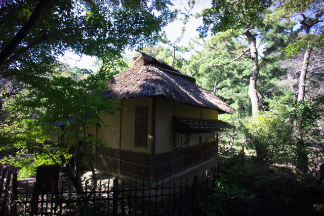 d0143011_2052216.jpg