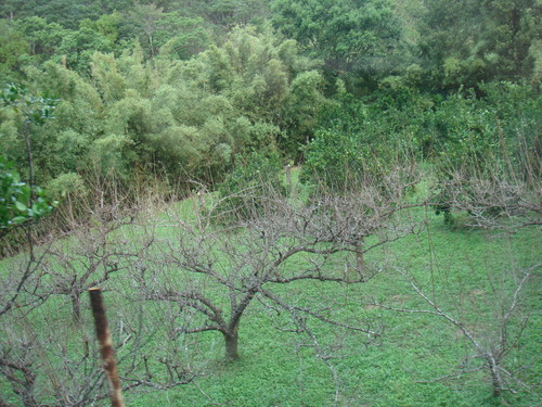 a0019212_19232264.jpg