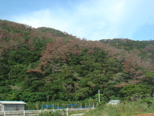 a0019212_1952280.jpg