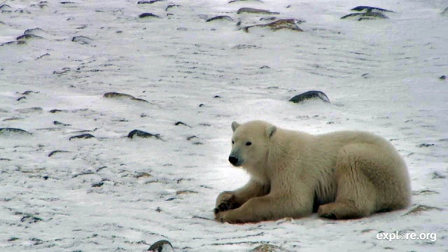 a0151913_2423934.jpg