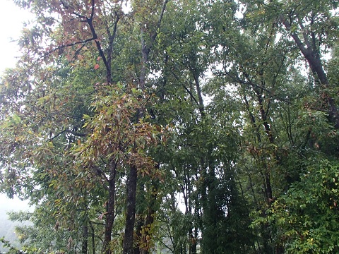 f0031420_7553536.jpg
