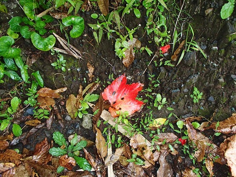f0031420_7563868.jpg