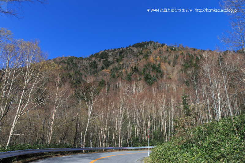 d0289733_22284122.jpg